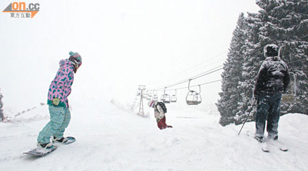 雪場設有12條不同級別的滑雪道。