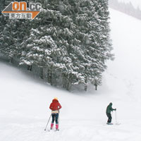 絲綢之路國際滑雪場坐落於南山國家森林公園內，冬日景色別有一番風味。