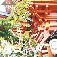 到寺廟或神社祈福是日本人的新年習慣。