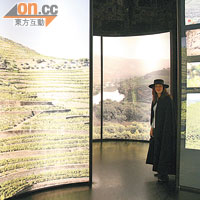 酒莊內設有多媒體展覽，展示了多羅河谷的優美景致。