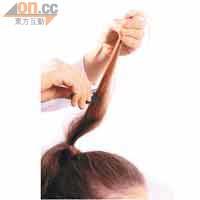 Step iv<br>用扁平梳由髮尾倒後梳向髮根，形成蓬鬆效果。