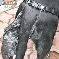專用便袋：透過輔助帶和膠袋，盛載狗狗的排泄物，不怕牠弄污公眾地方。