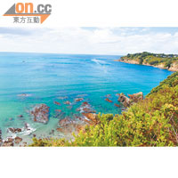 走到Oneroa Bay的崖邊，可看一睹整個Oneroa Beach的天然美景。