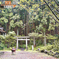 秋保大滝藏於森林中的小神社。