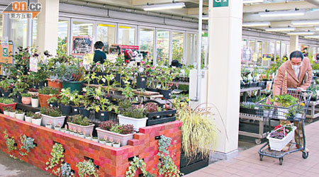 Cafe位於專賣花卉種子的Garden Center之內。