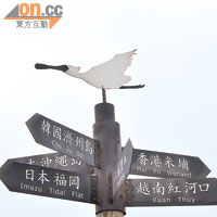 香港和台灣冬天都有黑臉琵鷺來度冬，而台灣錄得的數量比香港多。
