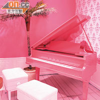 粉紅色的三角琴，不是應該有正在彈琴的阿Ken嗎？