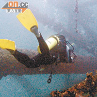 由多條巨柱組成的人工魚礁 Oil Rig，增加了生物棲息的空間。