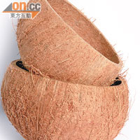 完全成熟的椰子纖維會呈深啡色，椰水少，椰肉硬實。