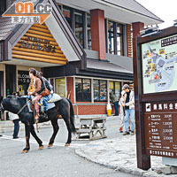 五合目有供人騎乘的馬匹，很受遊客歡迎。