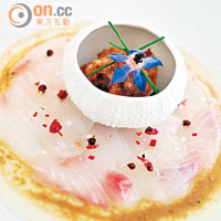 地中海生魚片薄切是招牌菜之一，海膽配鯛魚，加些黑胡椒、黑醋及橄欖油，就是鮮味。