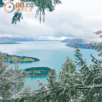 飛越樹林時，可欣賞到Queenstown倚着Lake Wakatipu的冬天景色。