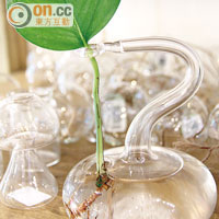 店內有眾多不同類型玻璃產品，其中玻璃花盆的設計甚有心思，￥12起（約HK$15）。