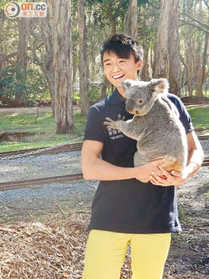 「絕世筍工」的最終一關，要求最後3強遠赴悉尼及昆士蘭，參觀動物園等多個景點，為上任的保育宣傳工作做準備。