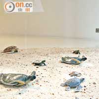 藝廊櫥窗前的海龜與沙礫，是他忽發奇想之作，把海洋帶入藝術空間，引人注目。