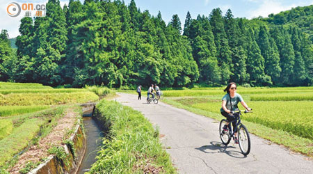 在滿布森林和原野的八海山踏單車，是多麼的逍遙。