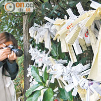 天岩戶神社據說很靈驗，而天照大神躲起來的「天岩戶」就在附近。