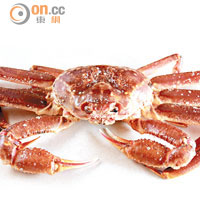 日本海松葉蟹　約$1,280/公斤（a）