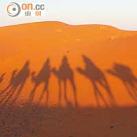 進出撒哈拉只能以駱駝代步，每程最少1小時，黃昏前睇日落，清晨騎駱駝看日出。
