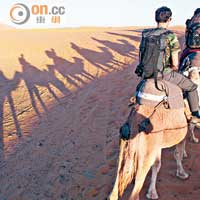 駱駝不能運載巨型行李，每個人只許帶小背包及小量個人物品入沙漠。