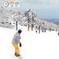 鳥取滑雪泡湯有靠山