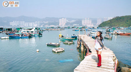 魚排寧靜優美，就像馬灣的後花園，不時可看到飛翔的海鳥。