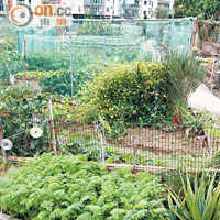 園內的有機種植區，除可隨意參觀外，亦可租用來種植有機新鮮蔬果。