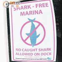 潛水公司門前掛的牌，已說明當地是禁殺鯊魚的保護區。