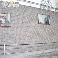 寵物公園的外牆掛有3幅得意的狗狗畫像，令遠處的人也能輕易發現公園的所在地。