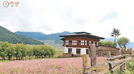 Gangtey的居民都以務農為生，作物以油菜花及薯仔為主。