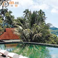 度假村的泳池，四周被翠綠景致環抱，感覺猶如懸浮在山谷中。