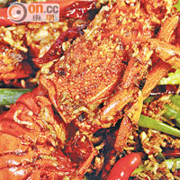 書中寶哥教授大家五道龍蝦菜式，包括傳統的避風塘龍蝦。