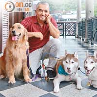 Cesar Millan訓犬由散步開始