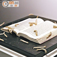 《蠶書》的意念是讓蠶蟲群在書上吐絲，是次展覽用上卡夫卡的名著《變形記》。