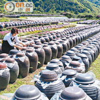 醋園共有22,000陶瓷甕缸，工人每天都需開啟甕缸攪動。
