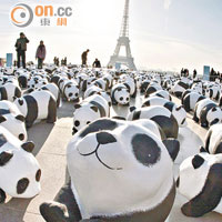 2008年，Paulo製成1,600隻紙糊熊貓於法國展出，引起一時哄動。