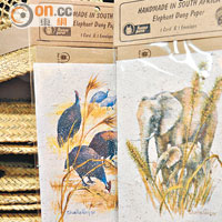 以大象糞便為材料的再造紙明信片，繪有精緻的動物插畫，ZAR 110（約HK$80）。