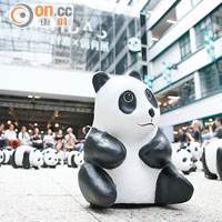 1,600隻紙熊貓已完成快閃之旅，現正齊集PMQ地下平台，任人影任人抱。
