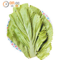 越南芥菜<br>芥菜葉不太大，比一般芥菜來得爽脆，用來拌炒一流。
