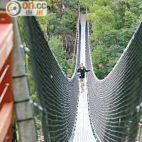 在AirWalk附近還有這條吊橋，能以最貼近Huon River的距離感受河水的奔騰。