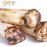 松茸<br>在日本被視為食用菌中的極品，當造期為8至9月，主要盛產於長野縣。