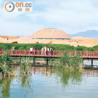 外形圓圓的便是沙湖生態館，內有詳盡的沙湖生態介紹。