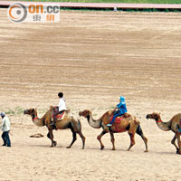沙上行走其實很累，租駱駝騎漫遊較為省力。