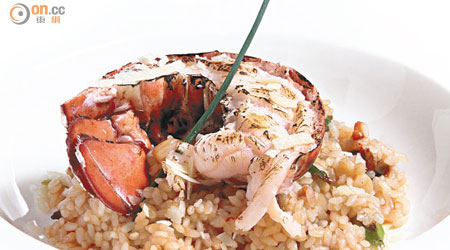 Grilled Lobster Risotto $248<BR>Risotto濃稠香口，但用上大量牛油、忌廉及芝士製作，令不少女士卻步。這道菜卻以龍蝦汁來煮，米飯則換上秋田小町米，同樣鮮味卻輕怡得多。