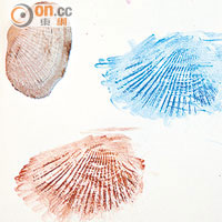 顏色掃紋<br>用木顏色筆掃出貝殼花紋，是把它「帶回家」的另類方法。