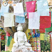 藏傳佛教對不丹人的思想觀念影響極深。