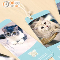 Vynxen將13隻愛貓的相片製成書籤，用來送予熟客。