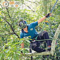 工作攀爬（Work Climb）<br>5個工作點散布於多棵樹上，要求參加者進行連串跳躍、飛越、枝上行走等動作。