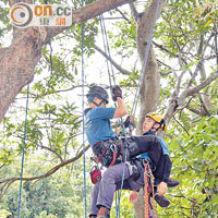 樹上拯救（Aerial Rescue）<br>將傷者繫於一起，夾着傷者以兩條繩降落，最後將傷者安全地躺在地面。