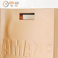 TOTES AMAZE tote $11,690